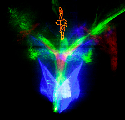 Laser Borealis lumia kinetic art, with golden Sun et Lumière at the top.